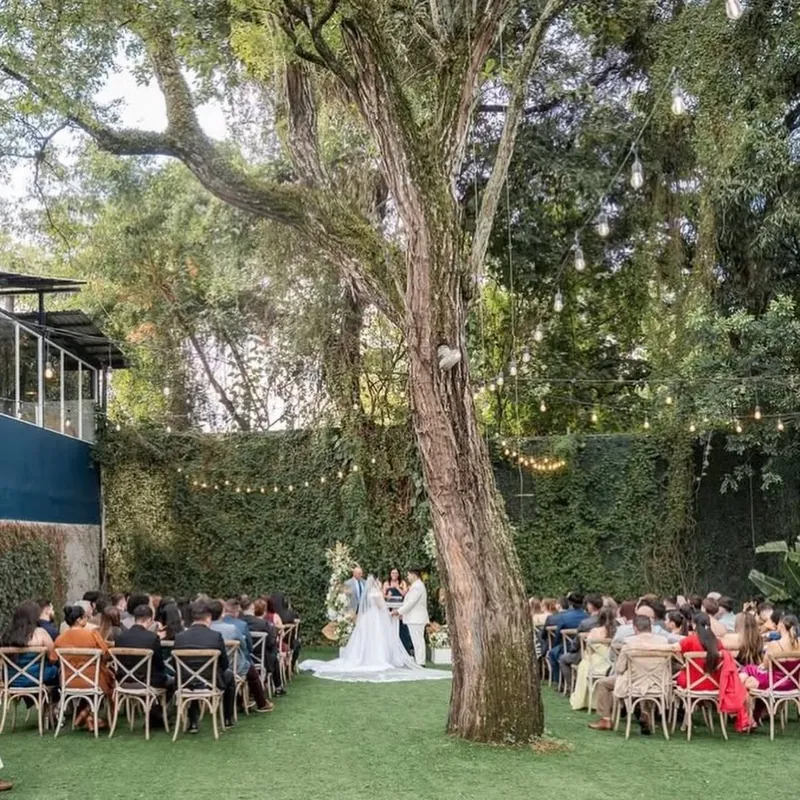 Ceremonia en el jardín bajo un árbol grande, con los invitados sentados a los lados